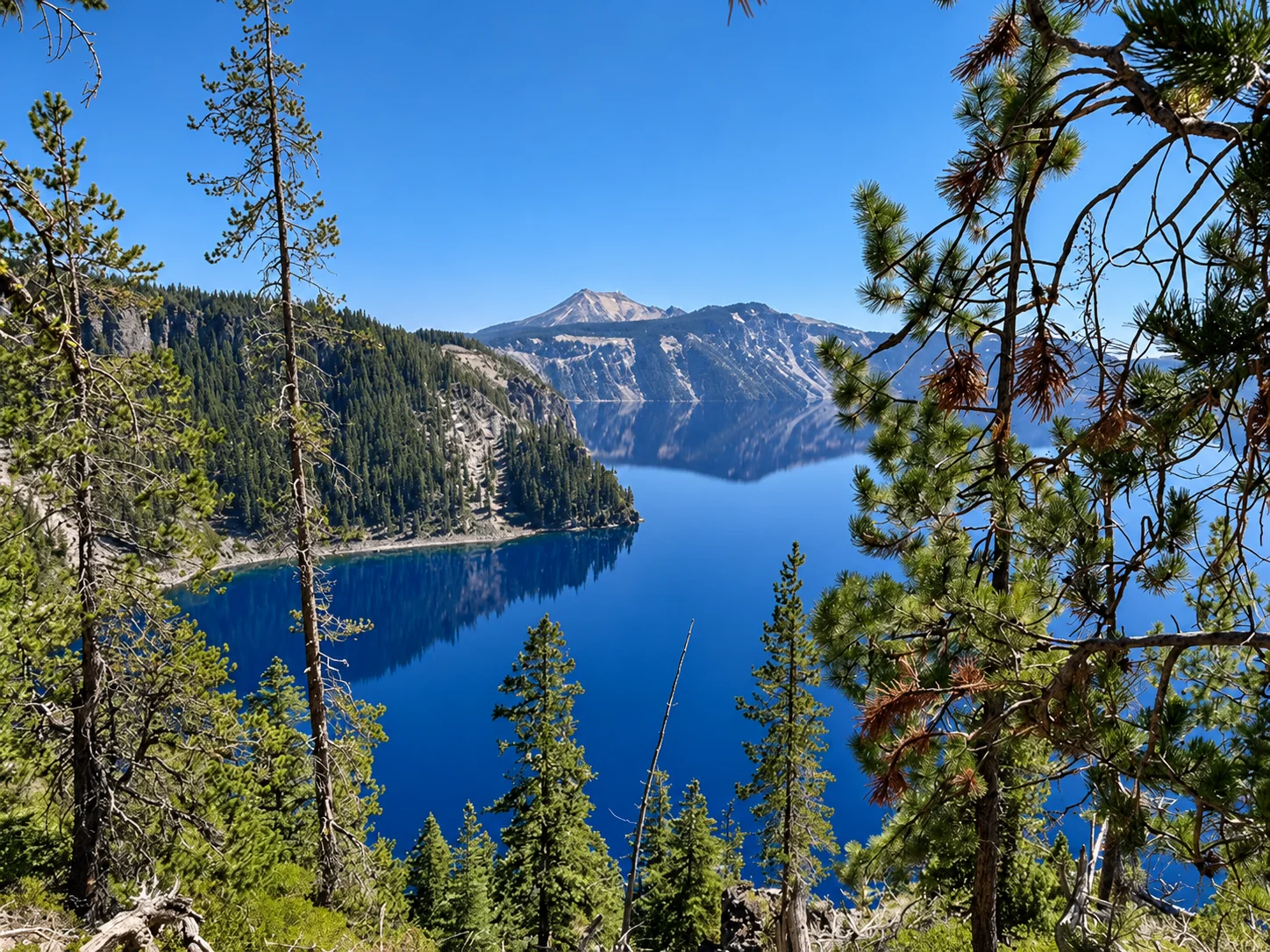 Crater Lake framed by pine branches